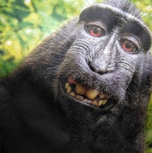 Meet your Posher, Timothy